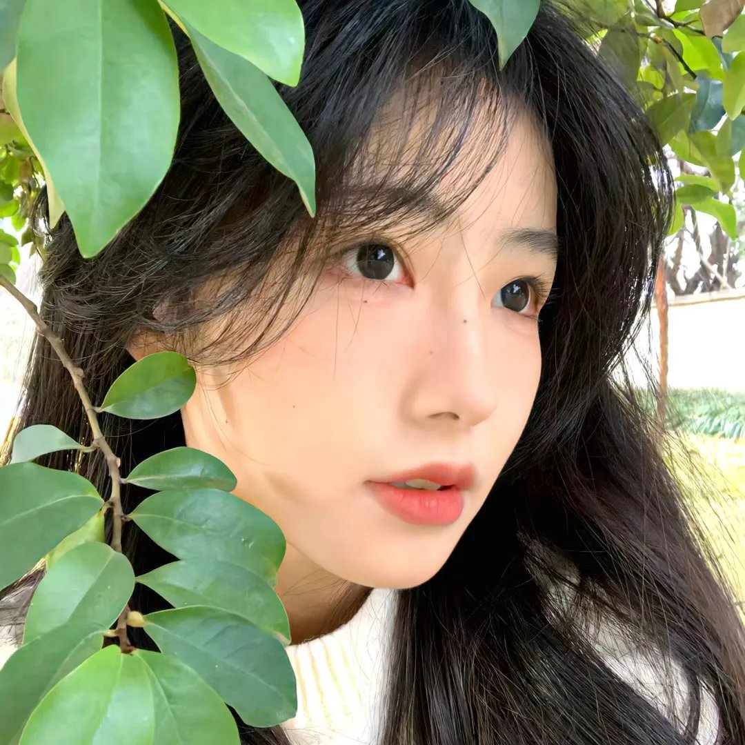 杂志梦